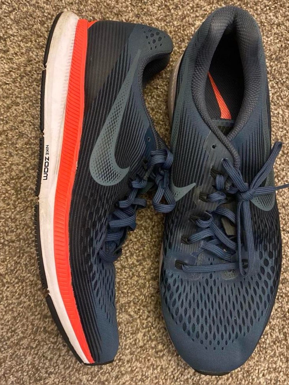 Nike Air Zoom Pegasus 34